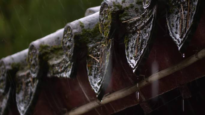 下雨-公园-柳树-水波-水滴-屋檐-瓦片