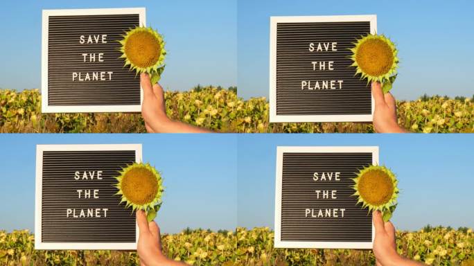 在阳光明媚的日子里，向日葵地里的横幅上写着“拯救地球”，这是一个无法辨认的人。签署地球日。生态概念和