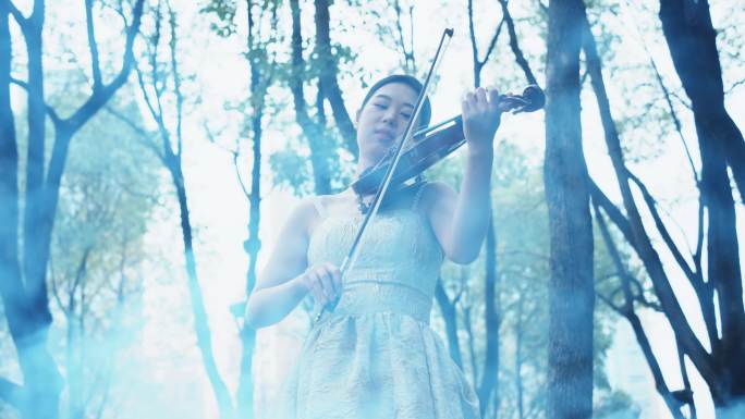 美女在森林里拉小提琴