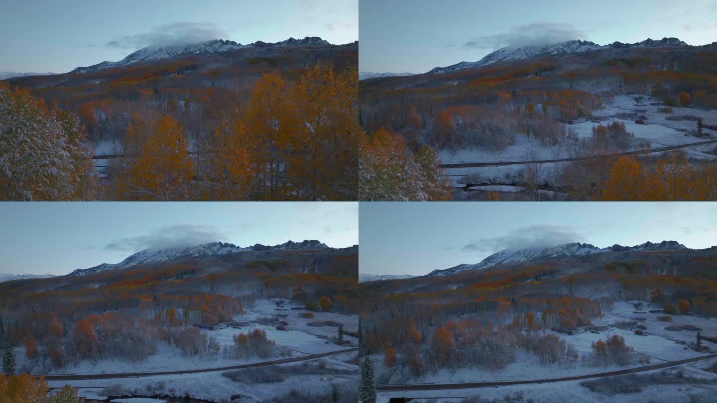 霜脆冷冻冻的早晨遮阴的科伯勒山口科罗拉多州航拍电影无人机秋天冬季碰撞第一次白色的雪红黄橙白杨树森林遮