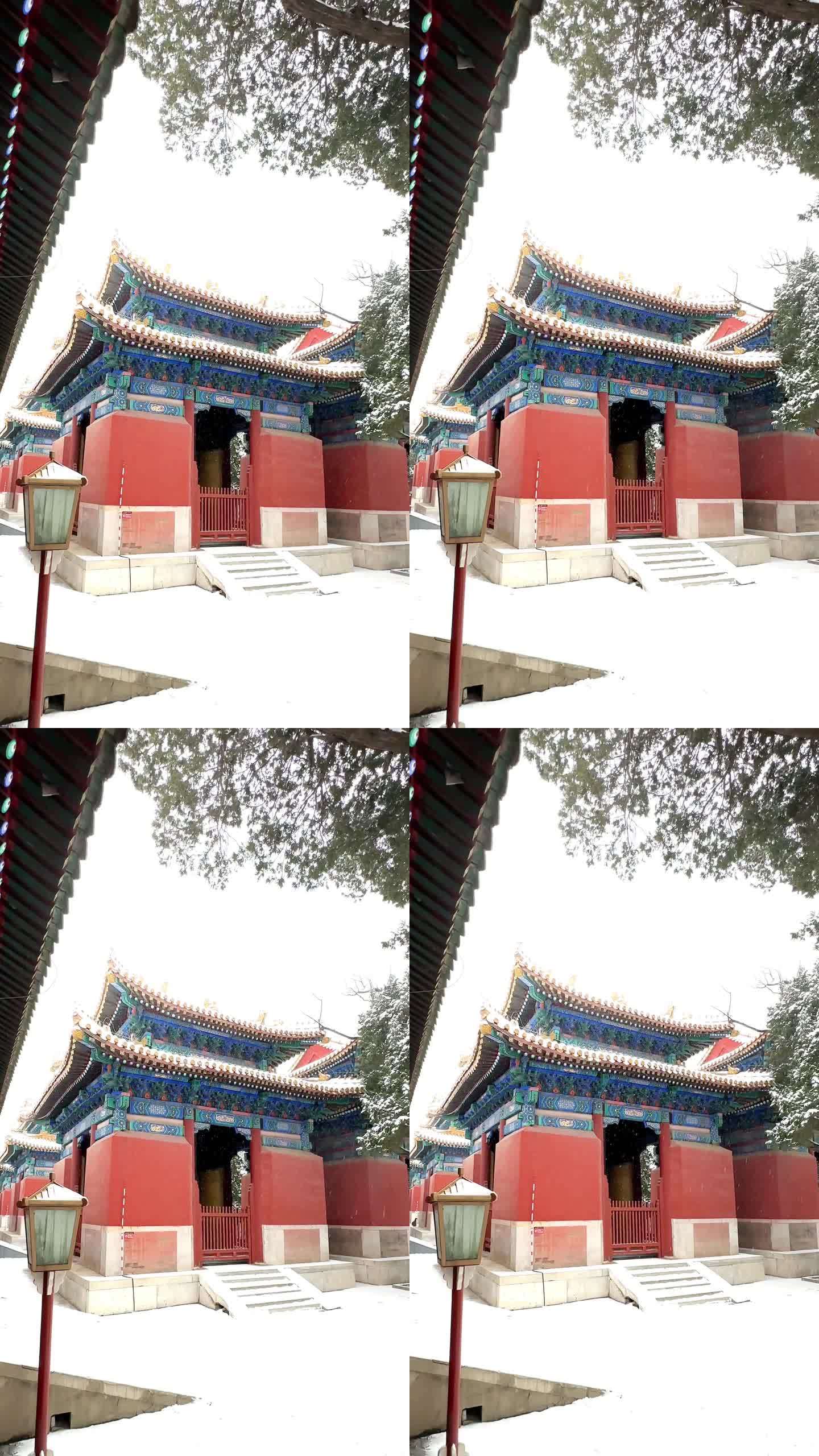 北京雪中孔庙高清视频