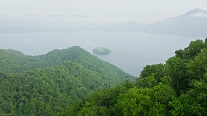 鸟瞰图，日本北海道地区美丽的绿色风景。
