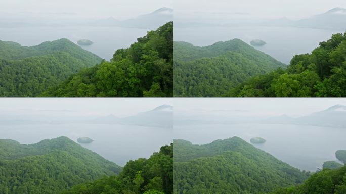 鸟瞰图，日本北海道地区美丽的绿色风景。