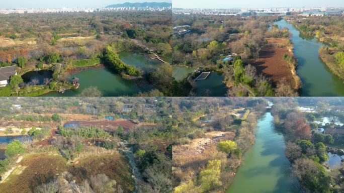 杭州市西湖区西溪湿地美景风景视频素材94