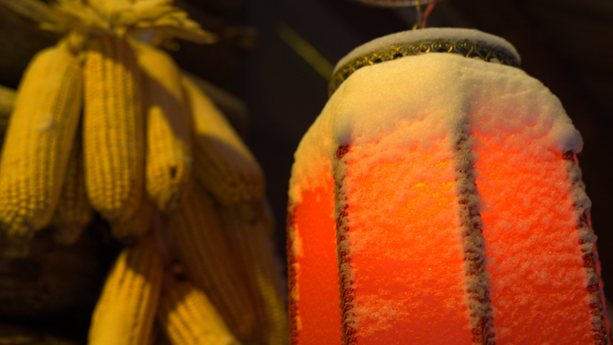 红灯笼 玉米棒 丰收 谷仓 冬至 大雪