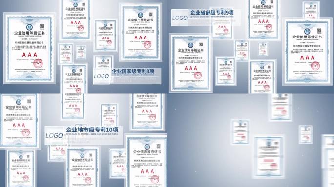 企业专利证书文件展示