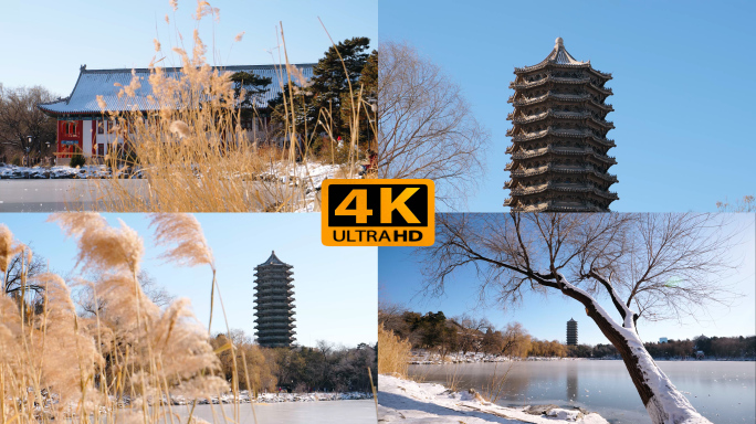 北京大学雪景 4K视频素材