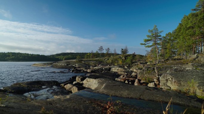 美丽的景观与松林和石头海岸的湖泊或河流在北欧静态拍摄