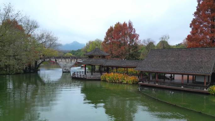 杭州西湖风景区黛色参天秋景江南水乡