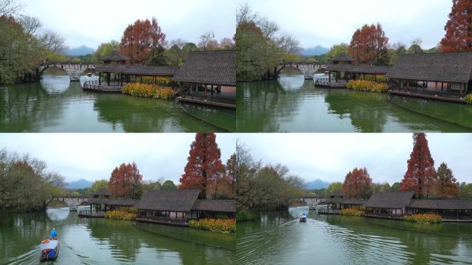 杭州西湖风景区黛色参天秋景江南水乡