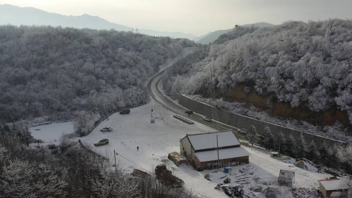 雪山林海