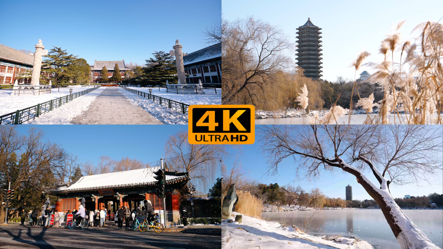 北京大学冬季雪景 4K50帧视频