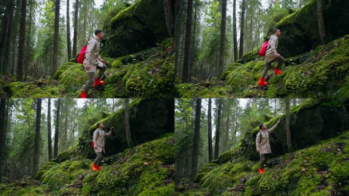 在挪威的森林里进行地质探险，游客背着背包在石头上看青苔
