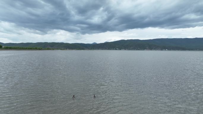 航拍丽江西部拉市海湿地公园湖泊风景