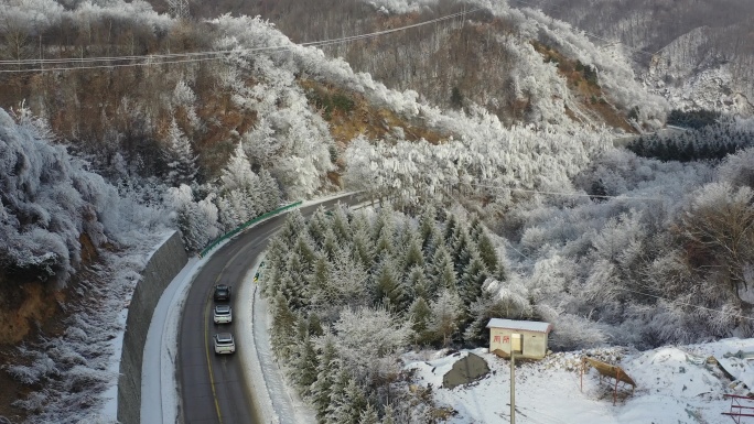 雪山林海