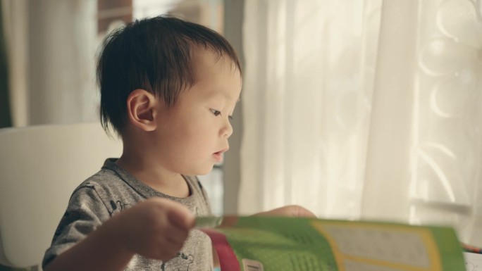 富有想象力的学习:一个亚洲男孩的艺术爱好的家庭教育冒险。