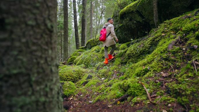 在森林深处探险，年轻的成年旅行者独自行走，欣赏大自然