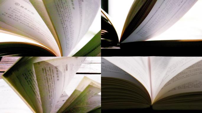 绿植书籍书页被风吹起的升格视频