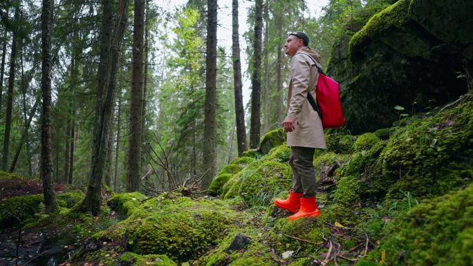 男游客在美丽的森林中独自徒步旅行，欣赏自然之美，斯堪的纳维亚之旅