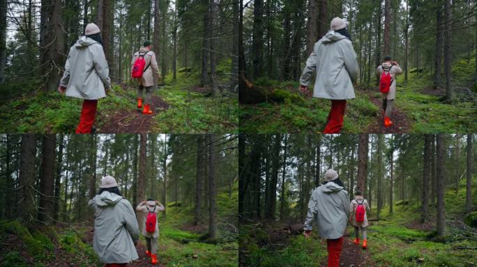 两个徒步旅行者在美丽的茂密针叶林在秋天，徒步旅行和背包