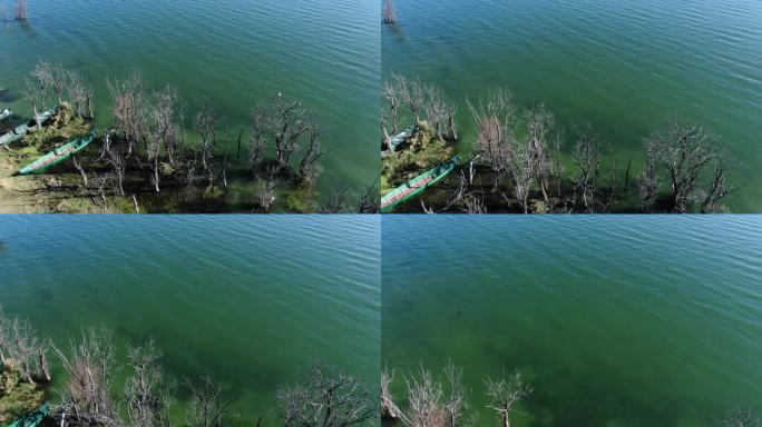 航拍俯瞰大理湿地洱海边枯树渔船绿色湖水