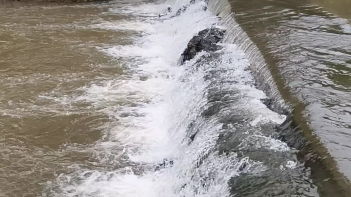 流水水坝溪流水花慢速流水