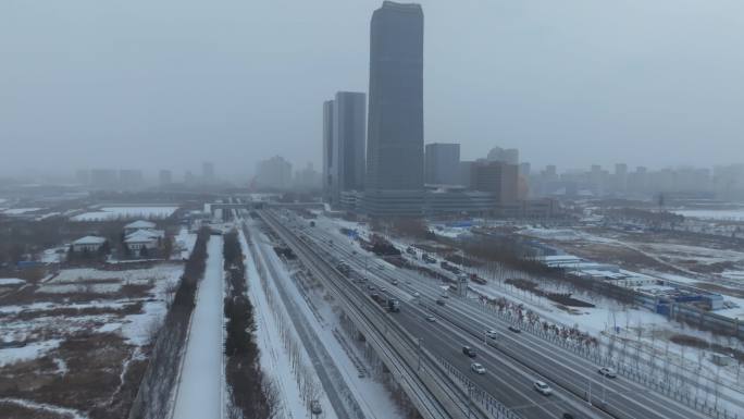 新区雪景多点位管委会轻轨龙翔广场北湖公园