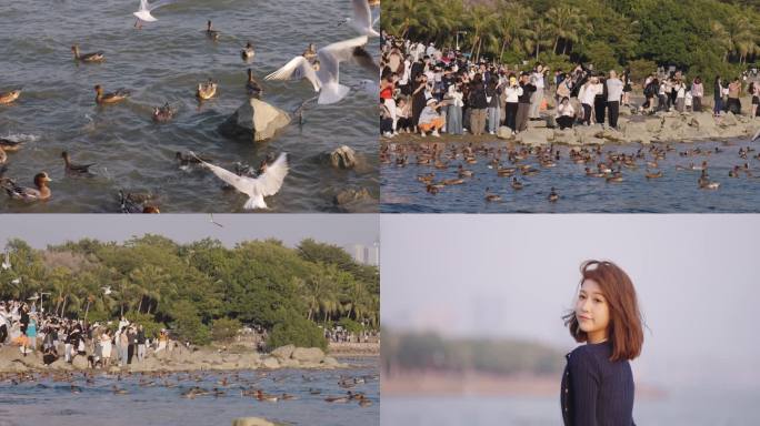 深圳湾公园看鸟观鸟人群