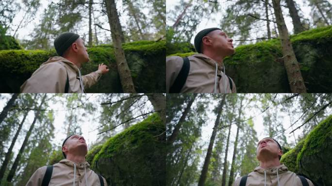 周末森林之旅，徒步旅行者抚摸松林里石头上的苔藓，地质考察