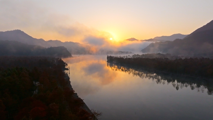 日出 晨雾 大河 树林