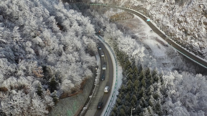 雪山林海