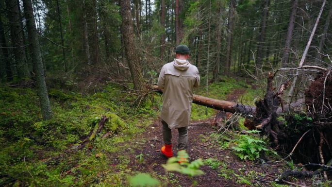 穿着胶靴的青年男子独自走在秋天的森林里，后景，慢镜头