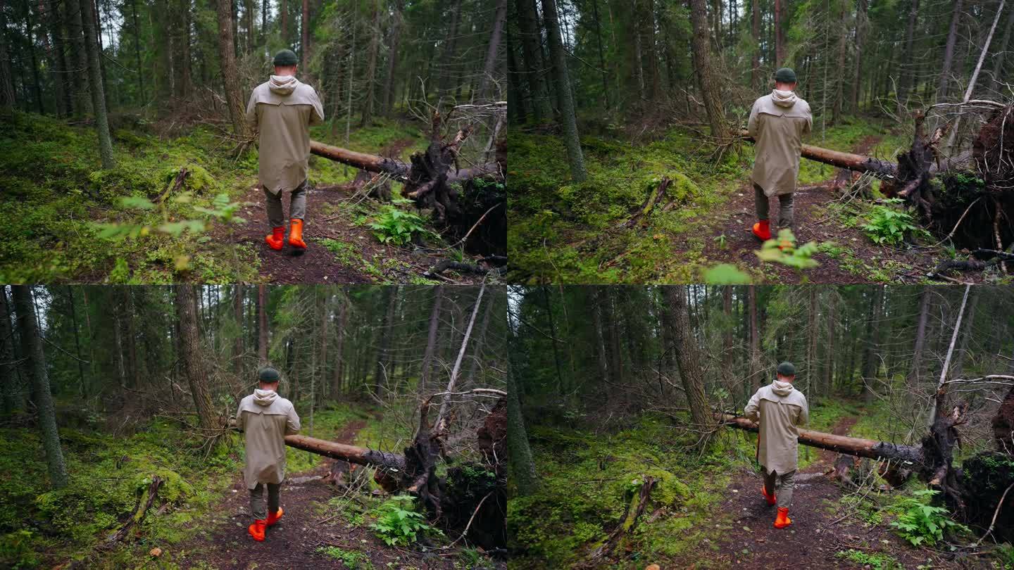 穿着胶靴的青年男子独自走在秋天的森林里，后景，慢镜头
