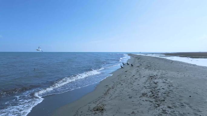 4K航拍青海湖沙滩