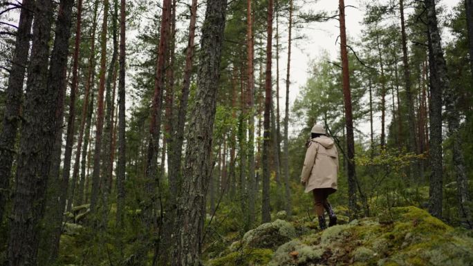 秋日漫步在美丽森林的女人，女徒步者踩在长满苔藓的石头上的背影