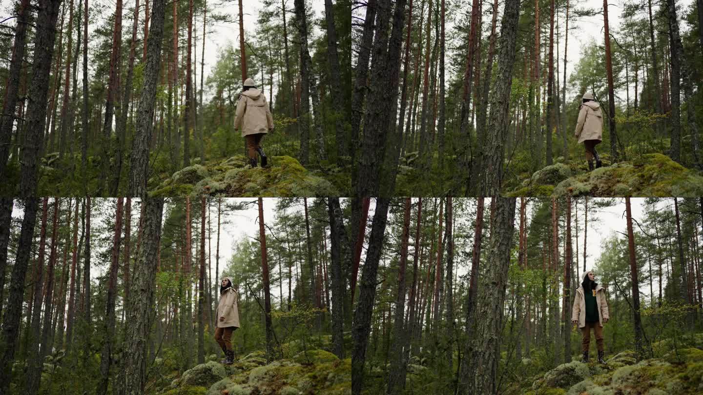 秋日漫步在美丽森林的女人，女徒步者踩在长满苔藓的石头上的背影