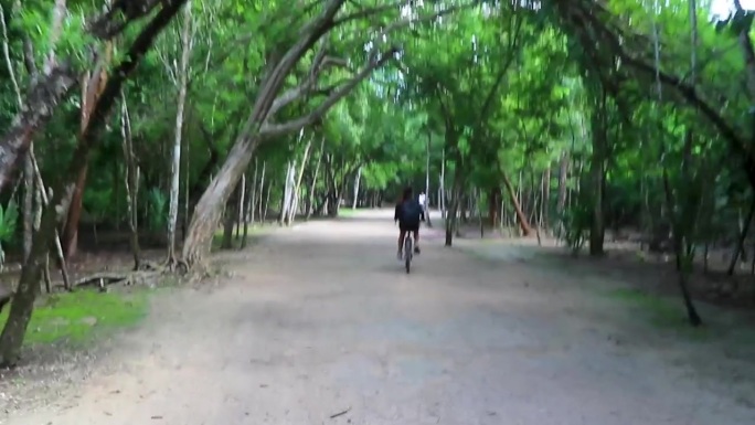 租一辆自行车三轮车穿过丛林科巴遗址。