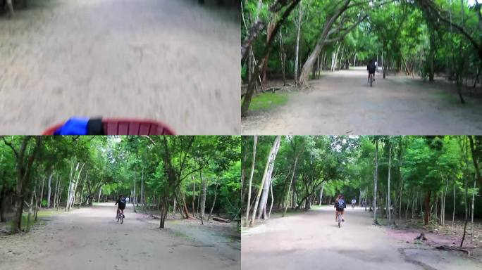 租一辆自行车三轮车穿过丛林科巴遗址。