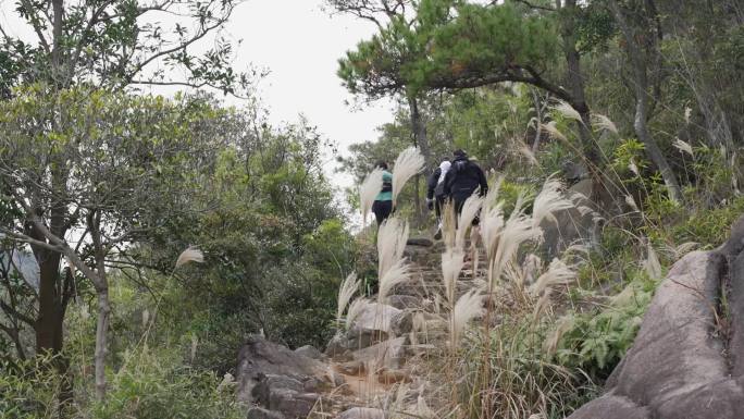 山地越野赛