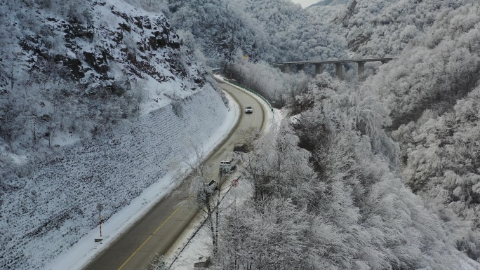 雪山林海