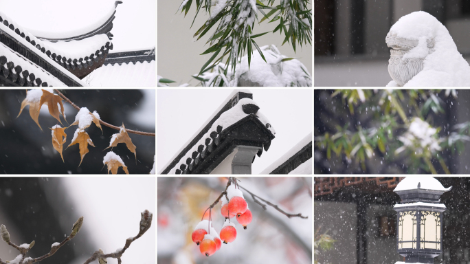 雪 下雪 中式园林雪景