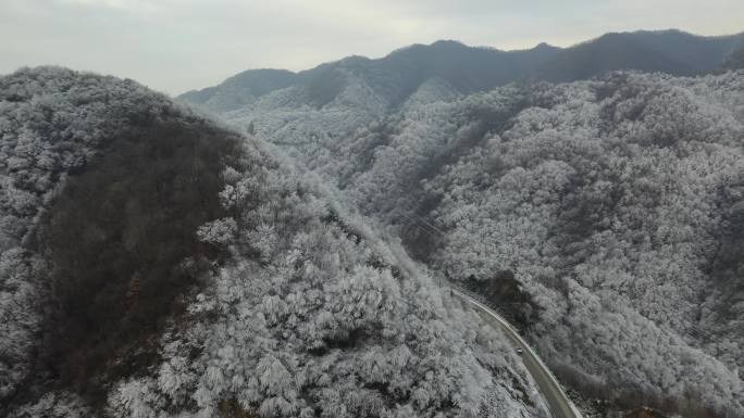 雪山林海