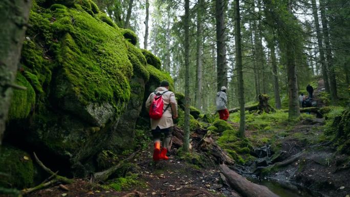 在神话般的森林中旅行，男人和女人在长满苔藓的石头的美丽林地中散步