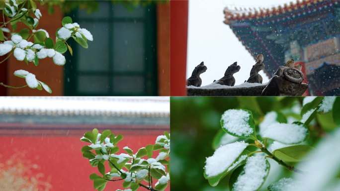 初雪 第一场雪 下雪 北京初雪 唯美雪景