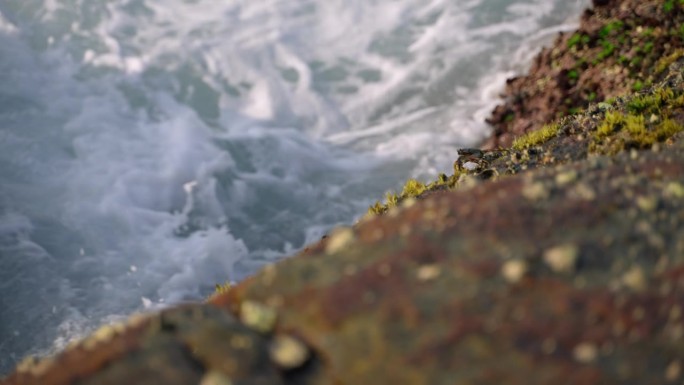 海浪冲击着长满苔藓的岩石。海面浪花起，海岸自然风光。动态海景，海边环境。波浪，运动，自然背景。海岸侵