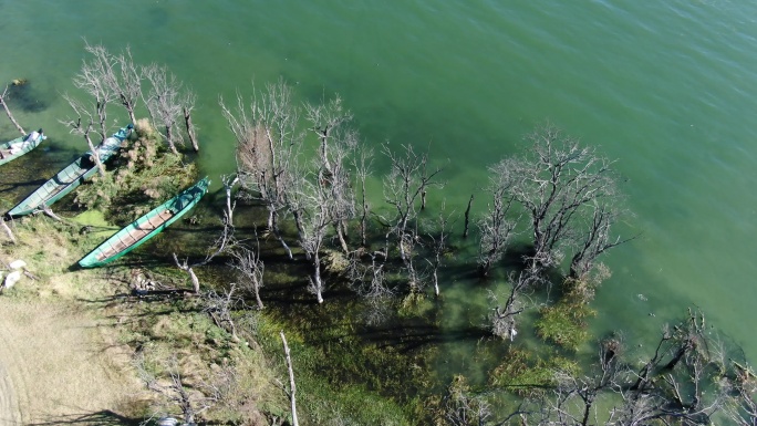 航拍俯瞰大理湿地洱海边枯树渔船绿色湖水