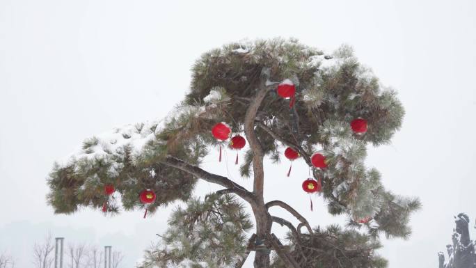 下雪唯美松树红灯笼