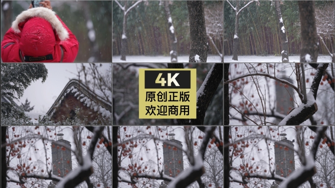 雪中的北京柿子树 乌鸦与烟囱