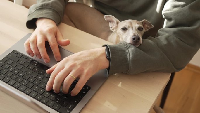 人与狗在电脑键盘上打字的细节