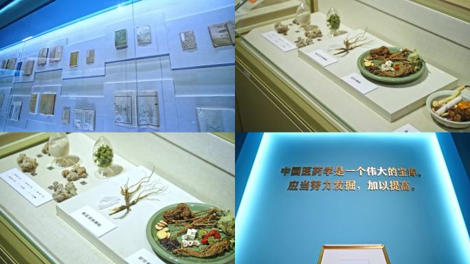 中医药展厅展览